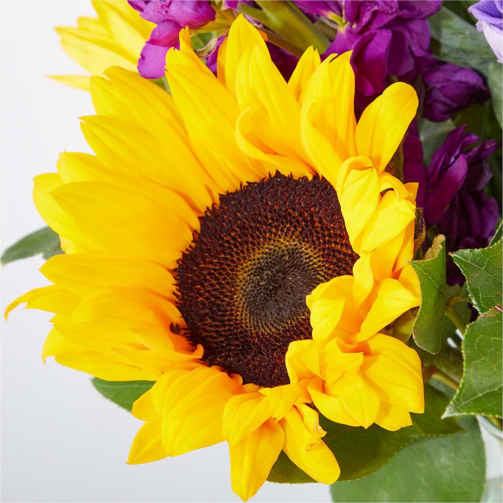 Catching Rays Bouquet –  Petite Flower Shop, San Antonio TX