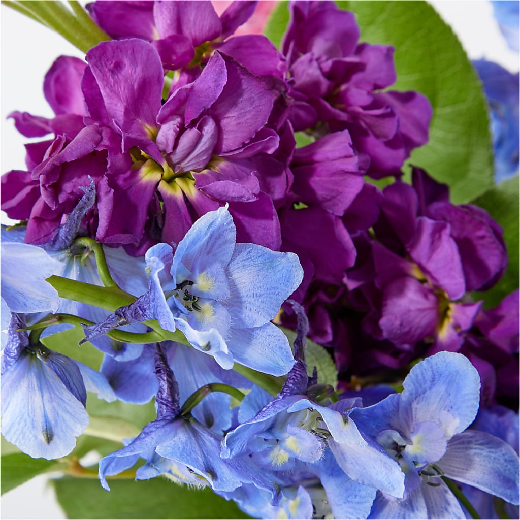 Twilight Glow Bouquet –  Petite Flower Shop, San Antonio TX