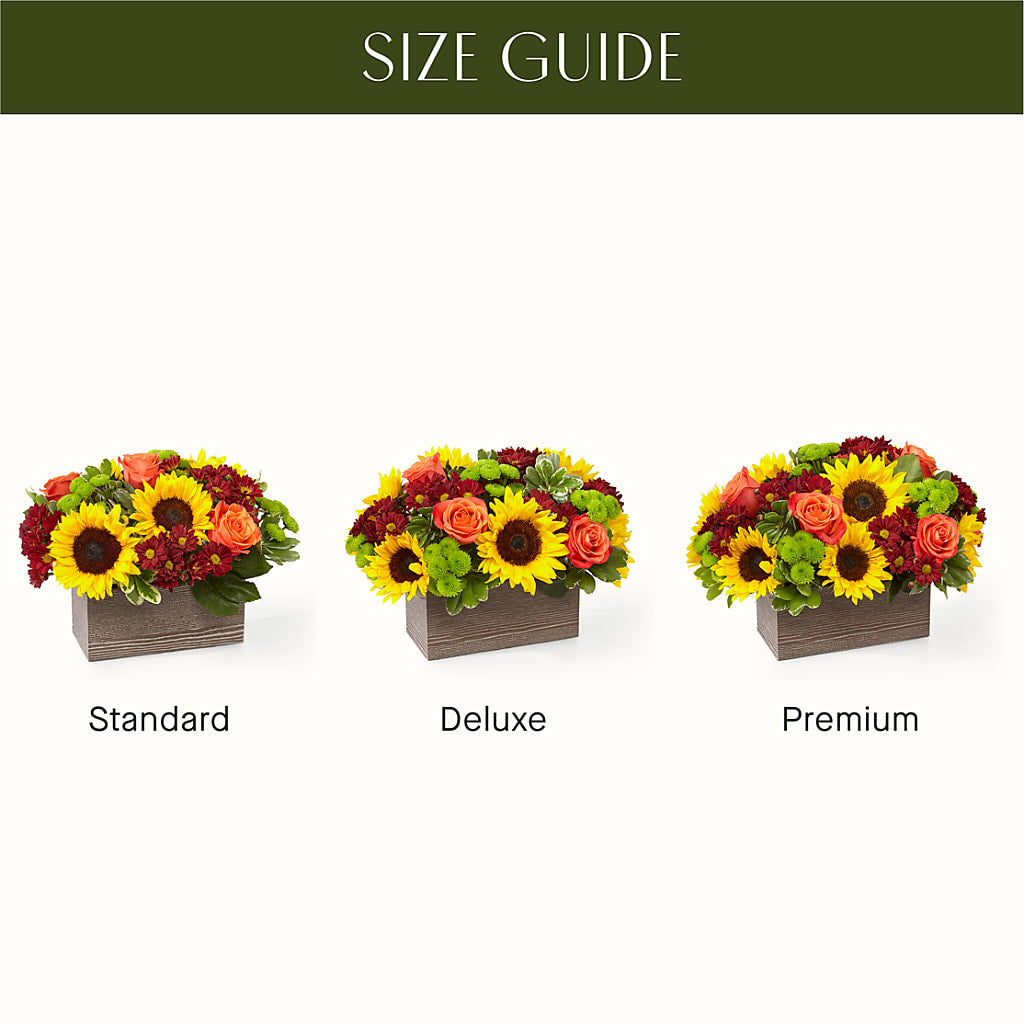 Happy Harvest Garden –  Petite Flower Shop, San Antonio TX