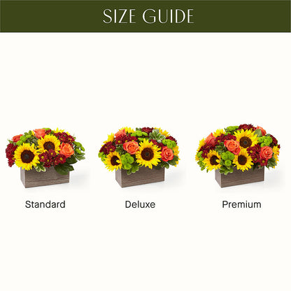 Happy Harvest Garden –  Petite Flower Shop, San Antonio TX