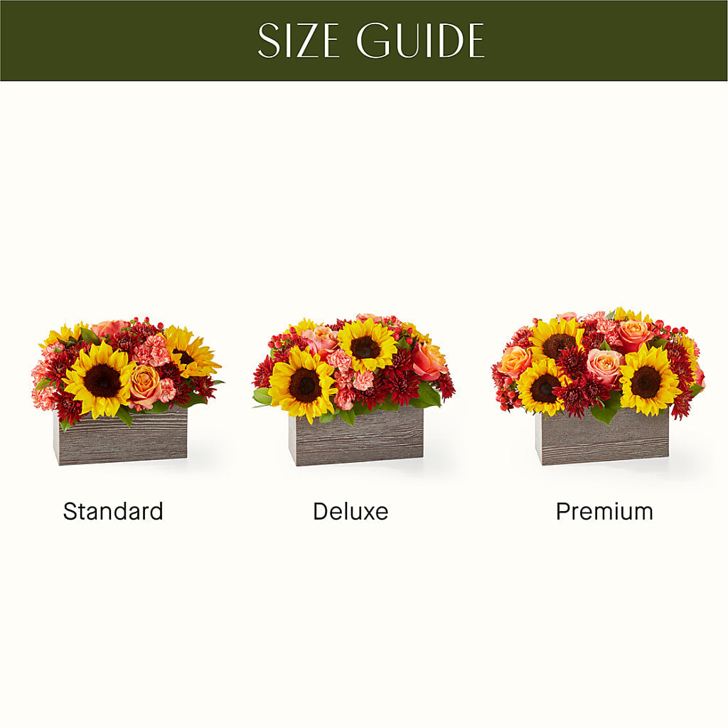 Fresh Cider Bouquet –  Petite Flower Shop, San Antonio TX