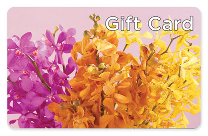Gift Card –  Petite Flower Shop, San Antonio TX