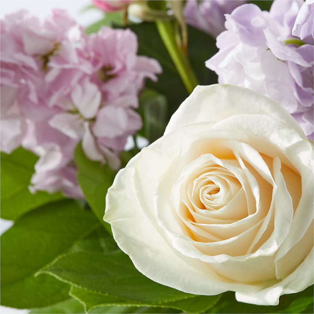 Springtime Spritz Bouquet –  Petite Flower Shop, San Antonio TX