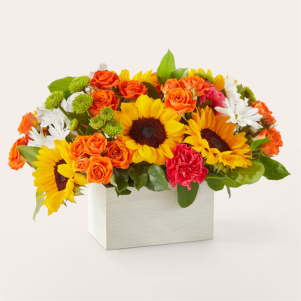 Sun-drenched Blooms Box Bouquet –  Petite Flower Shop, San Antonio TX