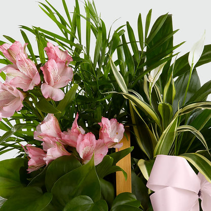 Living Spirit Dishgarden –  Petite Flower Shop, San Antonio TX