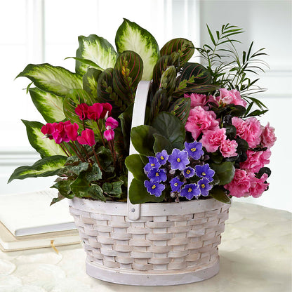 Peaceful Garden Planter –  Petite Flower Shop, San Antonio TX