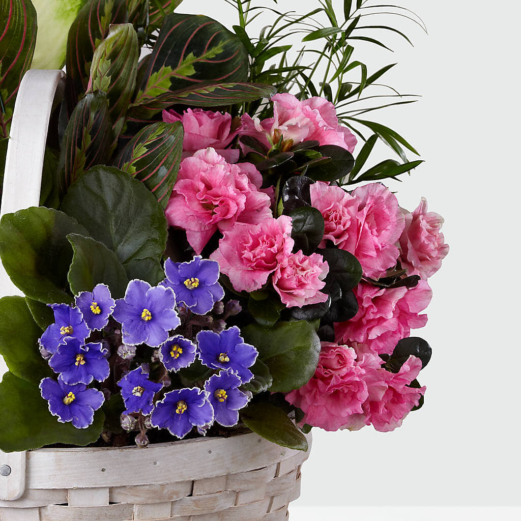 Peaceful Garden Planter –  Petite Flower Shop, San Antonio TX