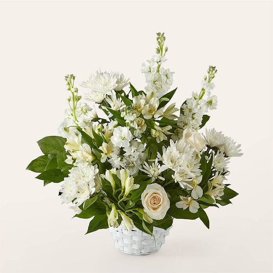 Eternal Affection Arrangement –  Petite Flower Shop, San Antonio TX