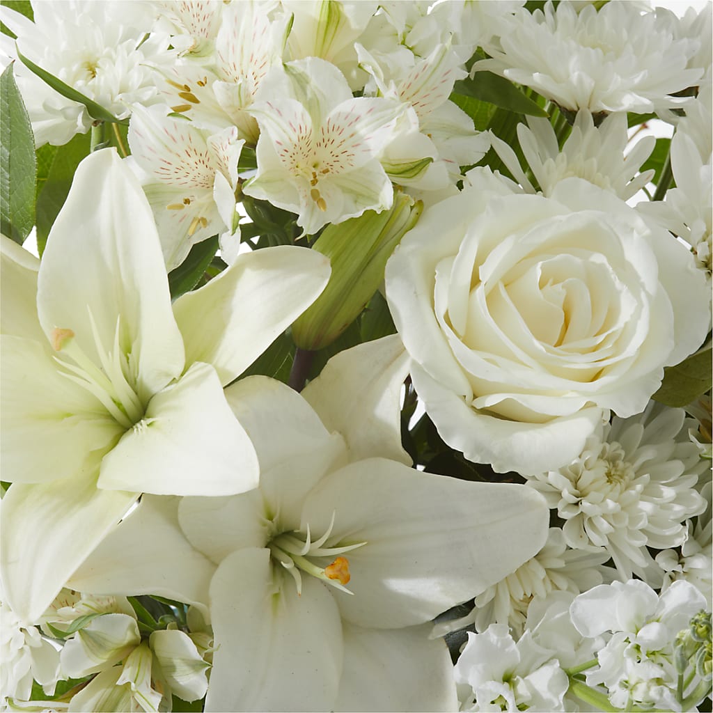Peaceful Reflections Arrangement –  Petite Flower Shop, San Antonio TX