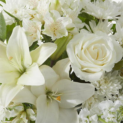 Peaceful Reflections Arrangement –  Petite Flower Shop, San Antonio TX