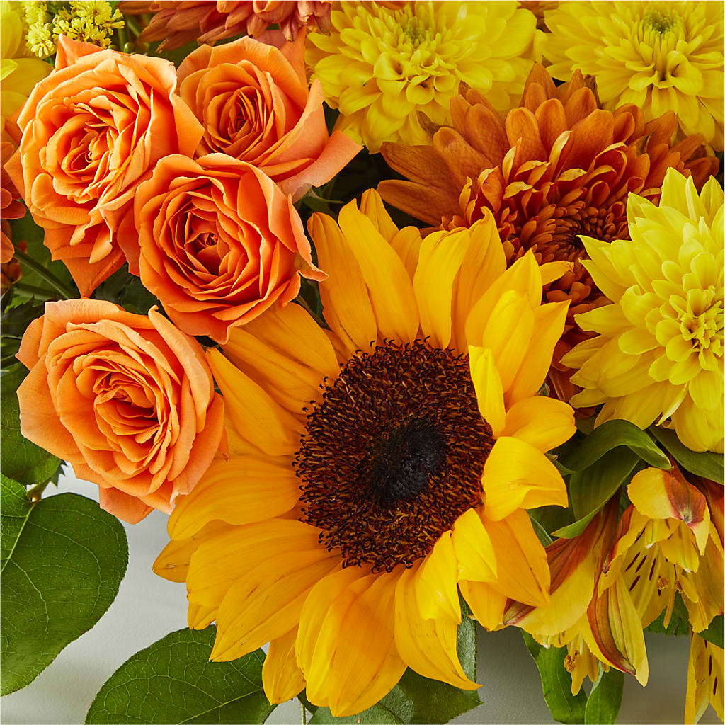 Autumn Harmony Centerpiece –  Petite Flower Shop, San Antonio TX