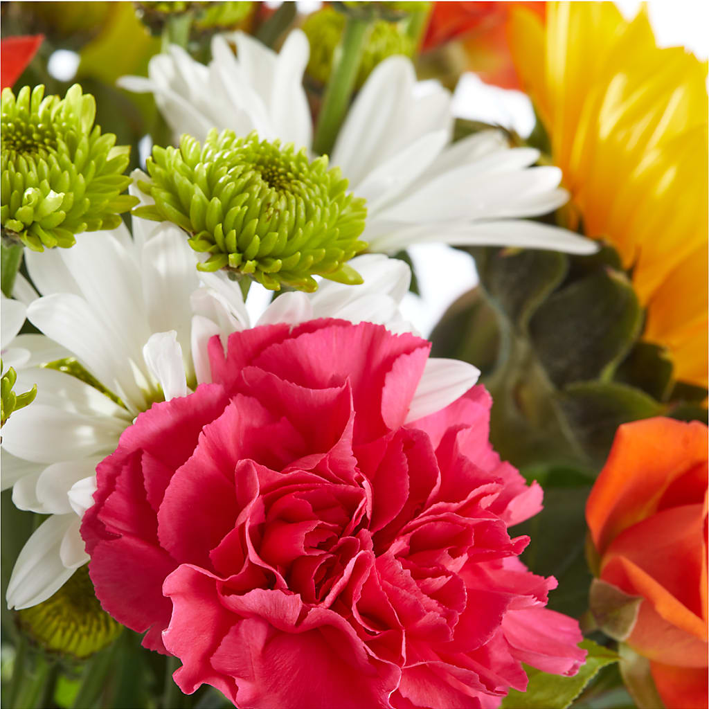 Sun-drenched Blooms Bouquet –  Petite Flower Shop, San Antonio TX