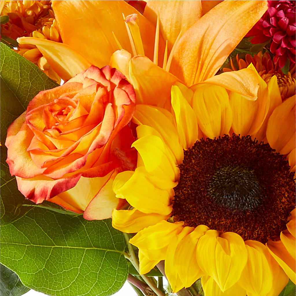Fall Day Bouquet –  Petite Flower Shop, San Antonio TX
