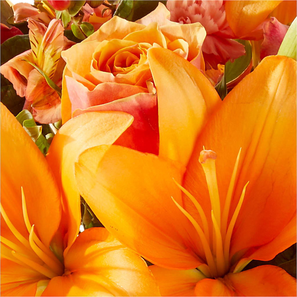 Afternoon Light Bouquet –  Petite Flower Shop, San Antonio TX