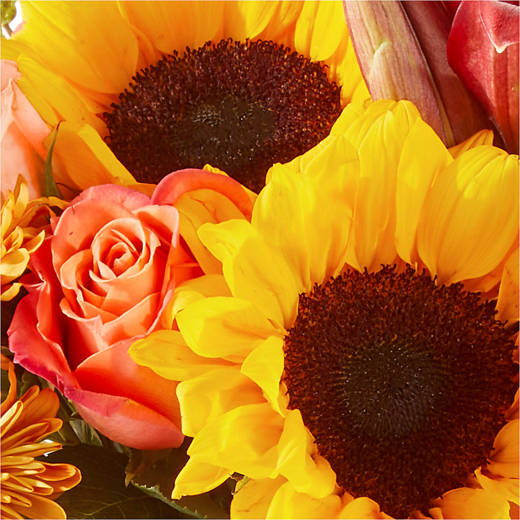 Acorn Lane Bouquet –  Petite Flower Shop, San Antonio TX