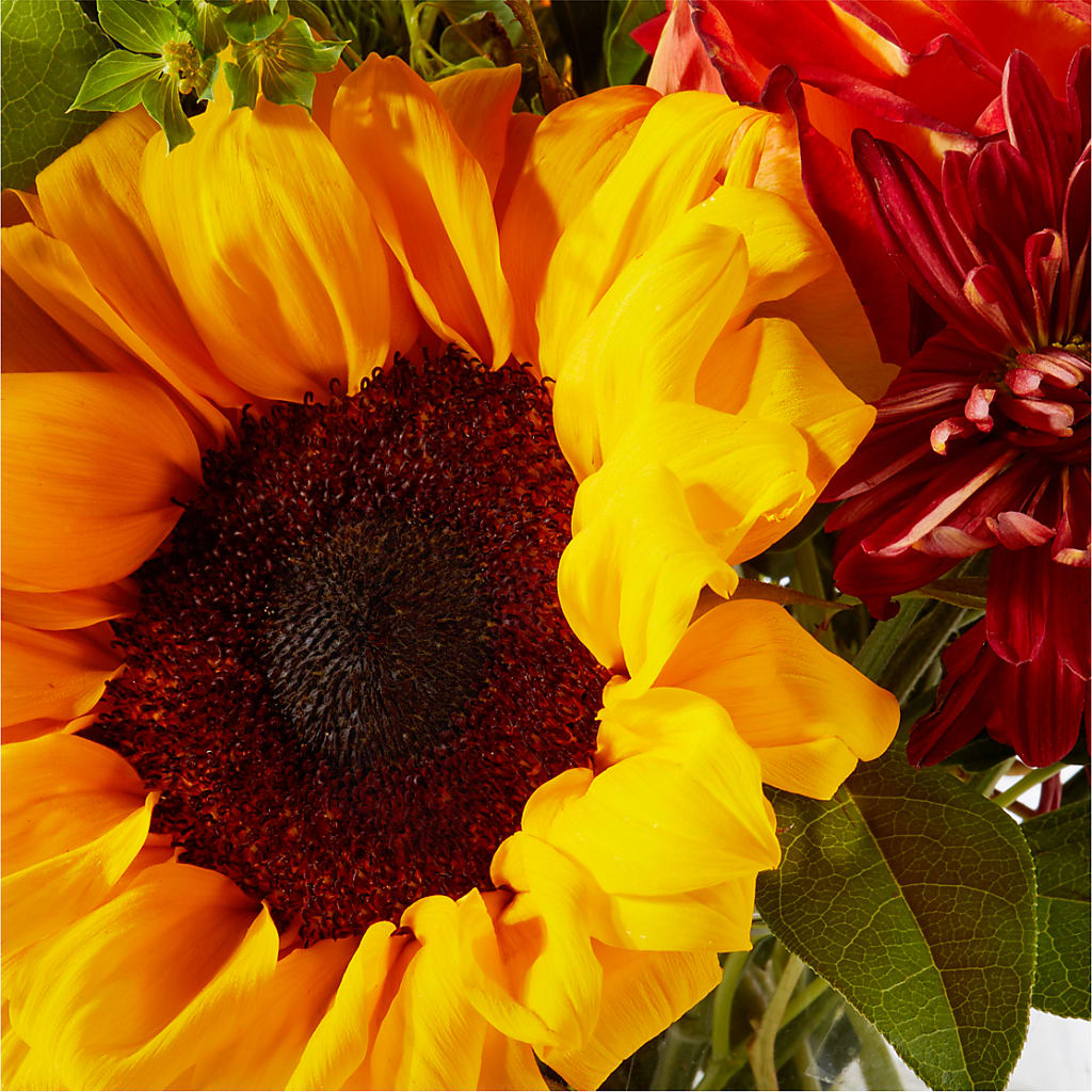 Harvest Festival Bouquet –  Petite Flower Shop, San Antonio TX