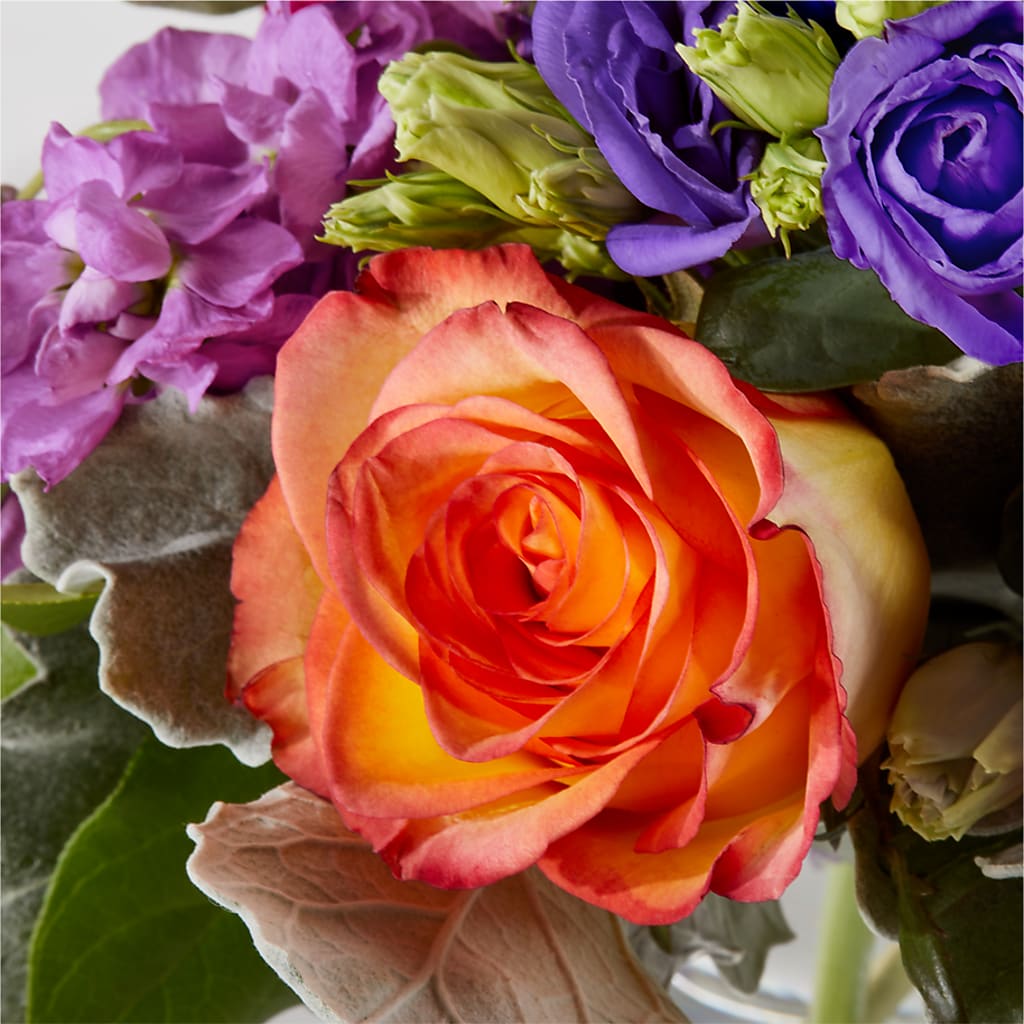 Sangria Bouquet –  Petite Flower Shop, San Antonio TX