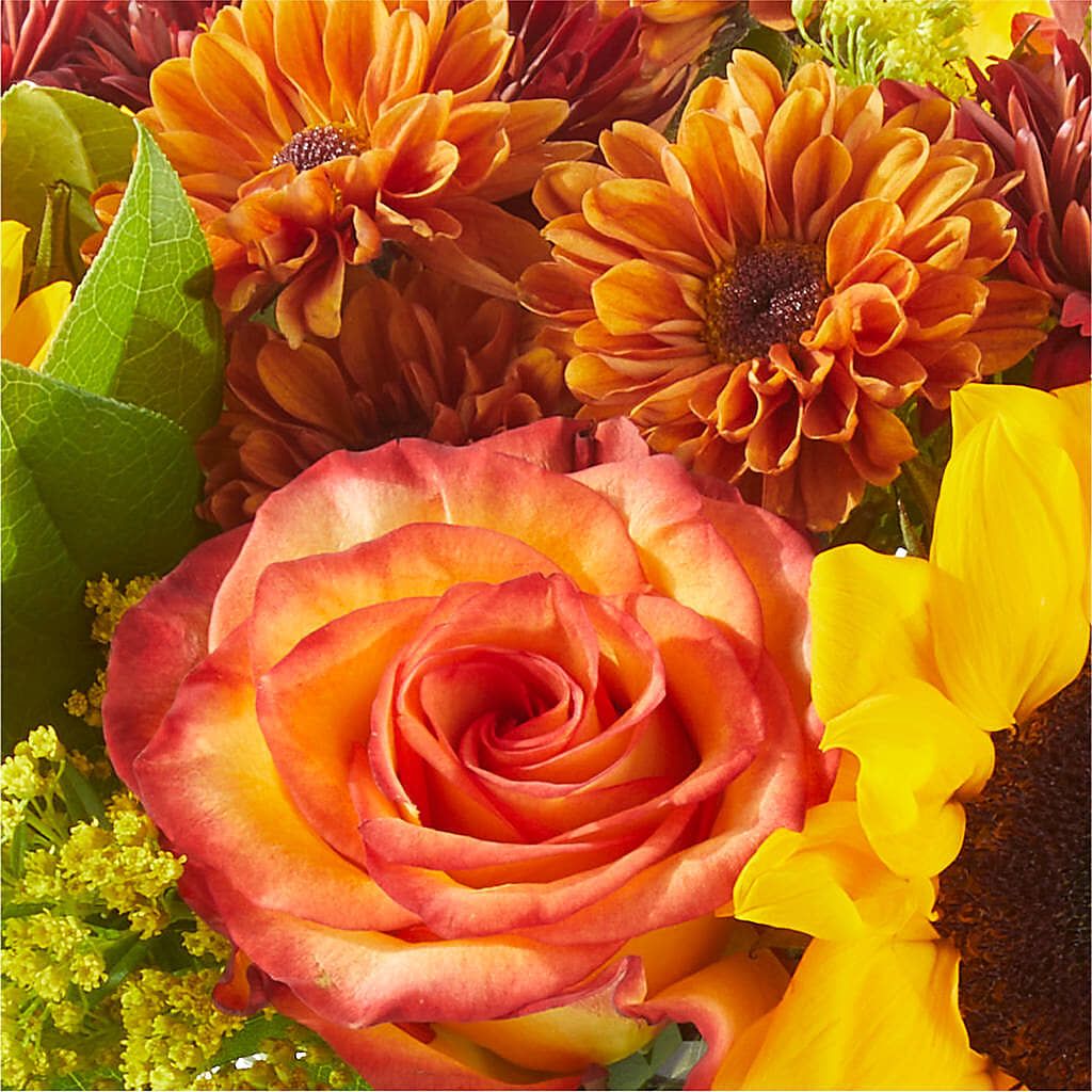 Flannel Scarf Bouquet –  Petite Flower Shop, San Antonio TX