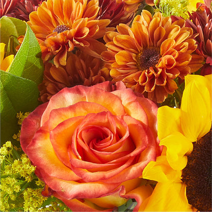 Flannel Scarf Bouquet –  Petite Flower Shop, San Antonio TX