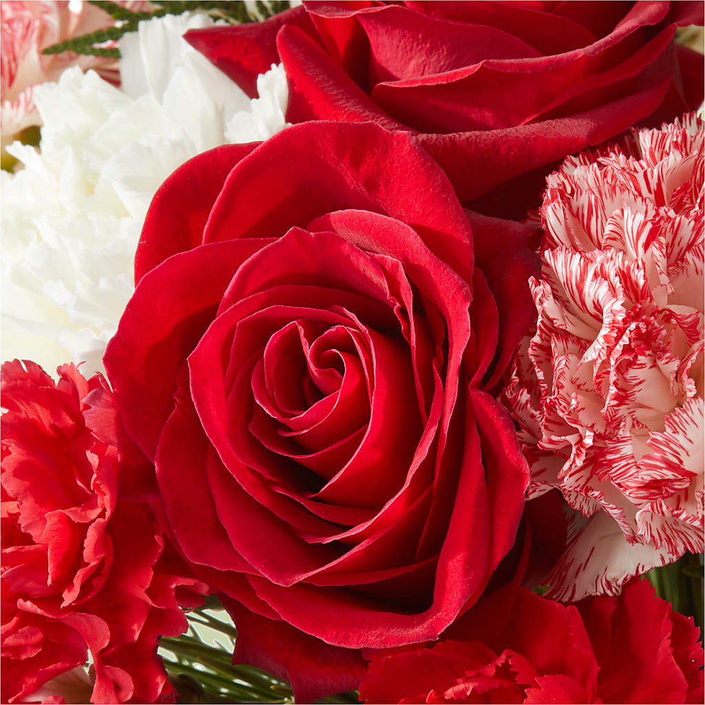 Candy Cane Lane Bouquet –  Petite Flower Shop, San Antonio TX