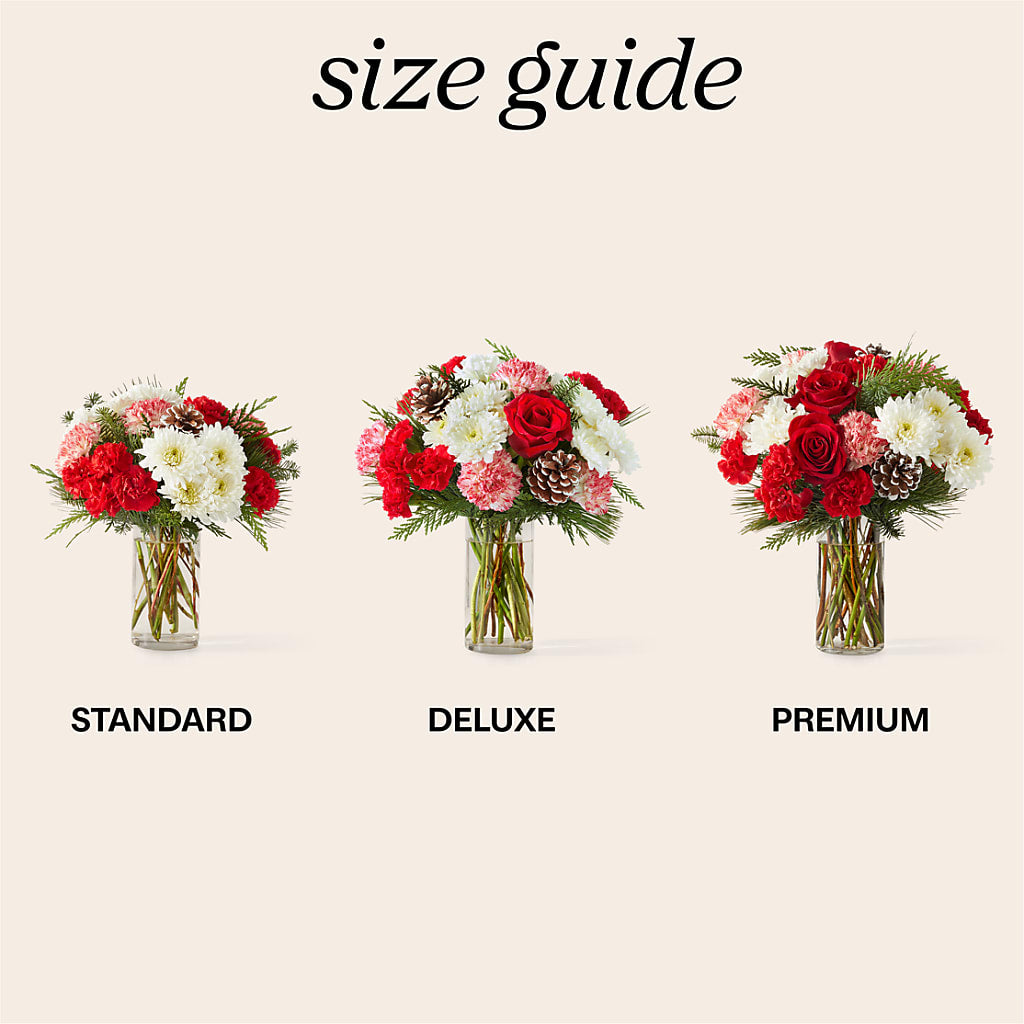Candy Cane Lane Bouquet –  Petite Flower Shop, San Antonio TX