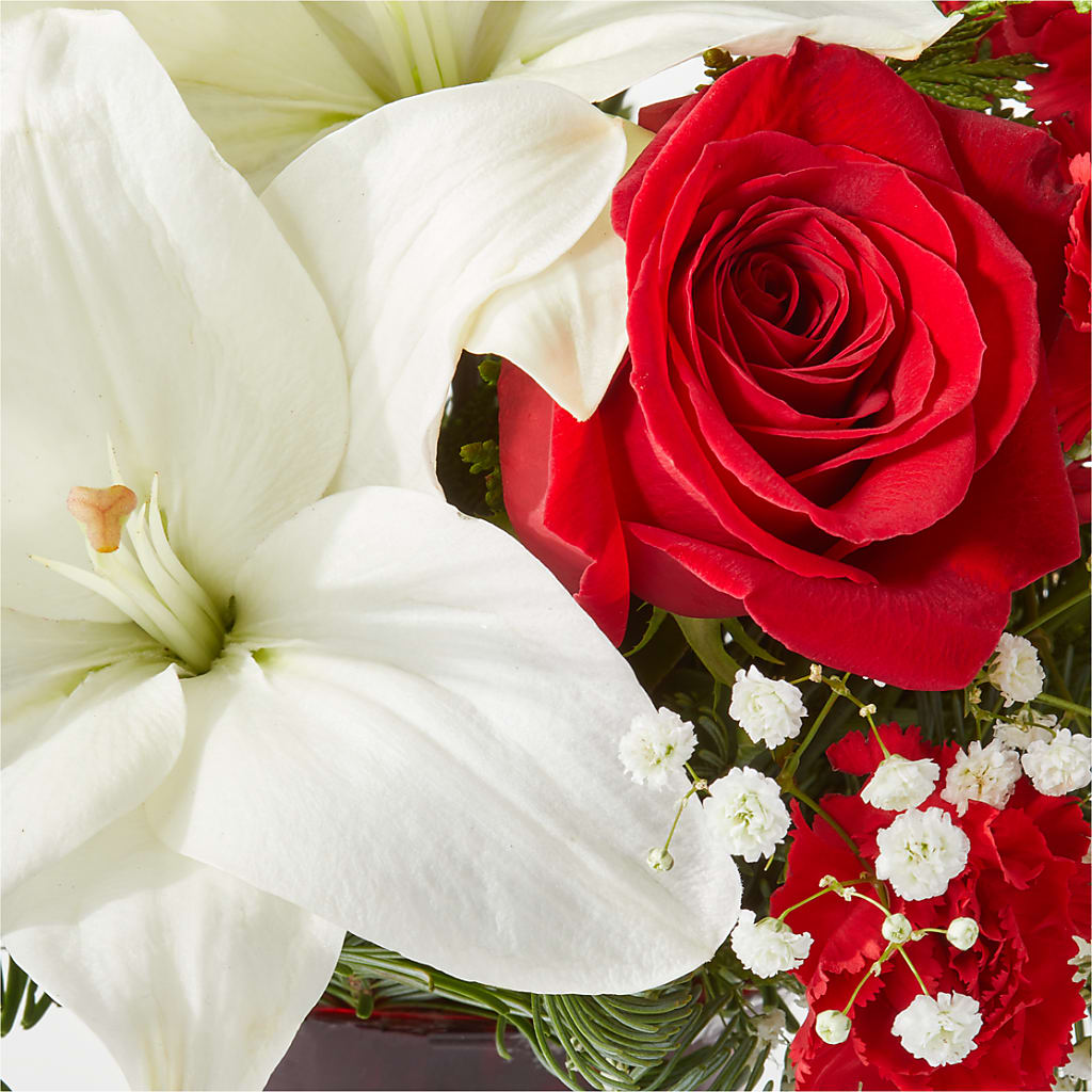 Holiday Season Bouquet –  Petite Flower Shop, San Antonio TX
