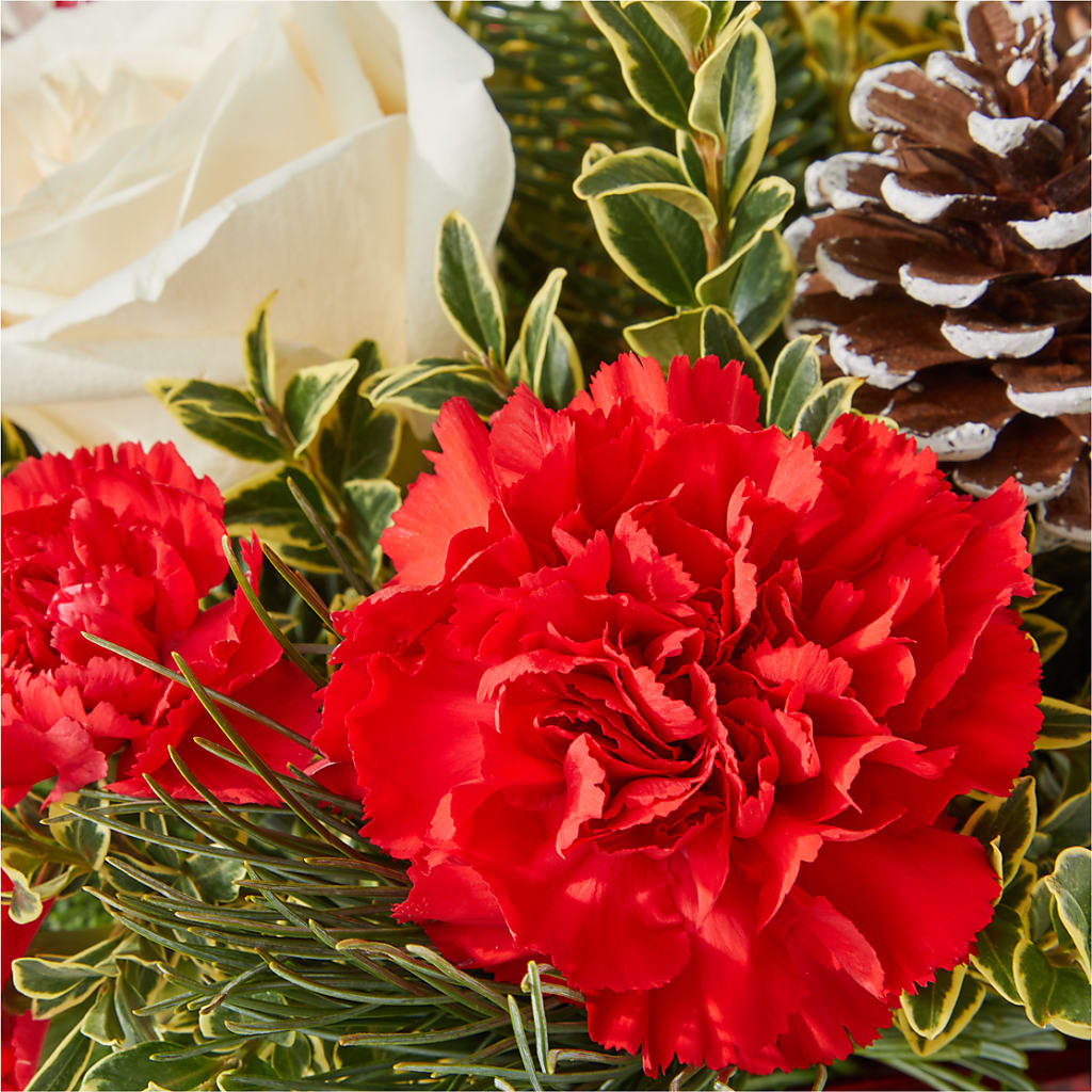 Christmas Market Bouquet –  Petite Flower Shop, San Antonio TX