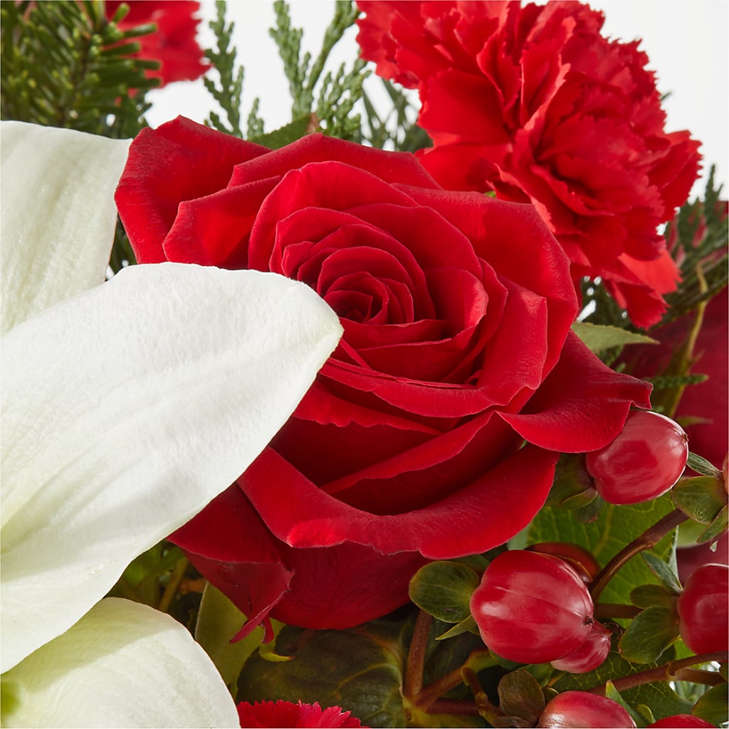 Oh So Jolly Bouquet –  Petite Flower Shop, San Antonio TX