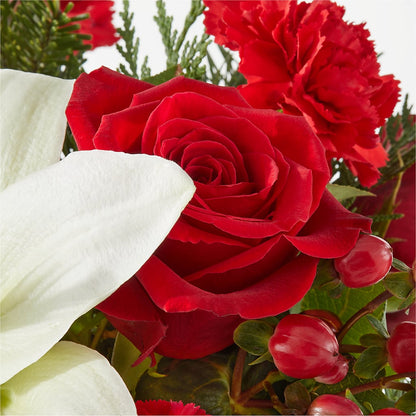Oh So Jolly Bouquet –  Petite Flower Shop, San Antonio TX