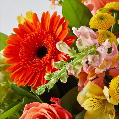 Autumn Sunshine Bouquet –  Petite Flower Shop, San Antonio TX