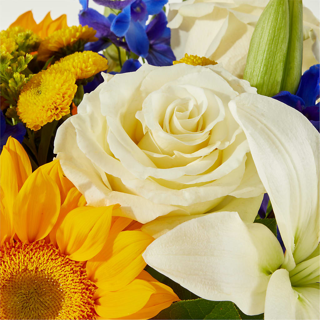 Stargazing Bouquet –  Petite Flower Shop, San Antonio TX
