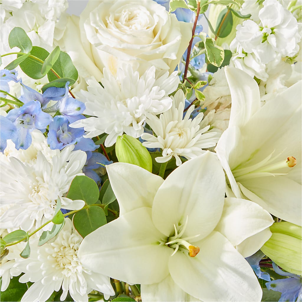 Peace of Mind Bouquet –  Petite Flower Shop, San Antonio TX