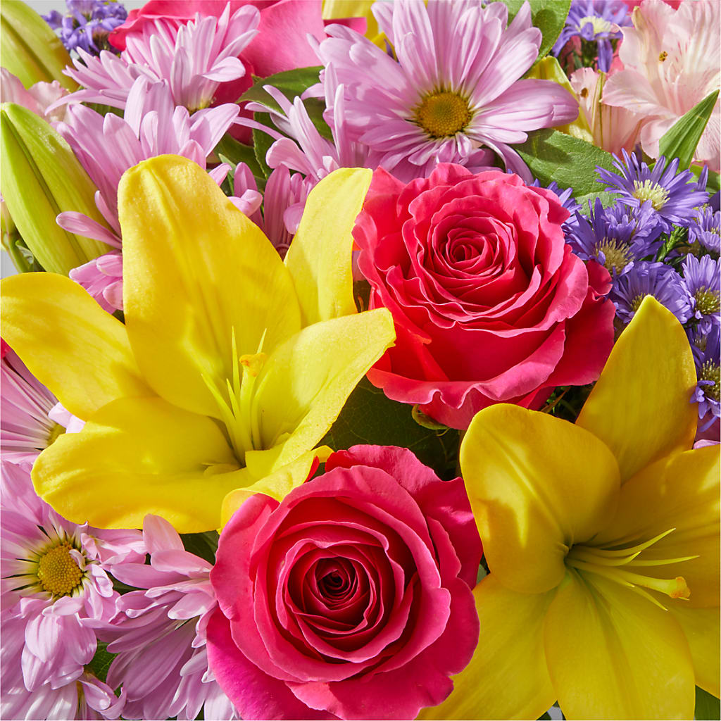 Sprinkles Bouquet –  Petite Flower Shop, San Antonio TX