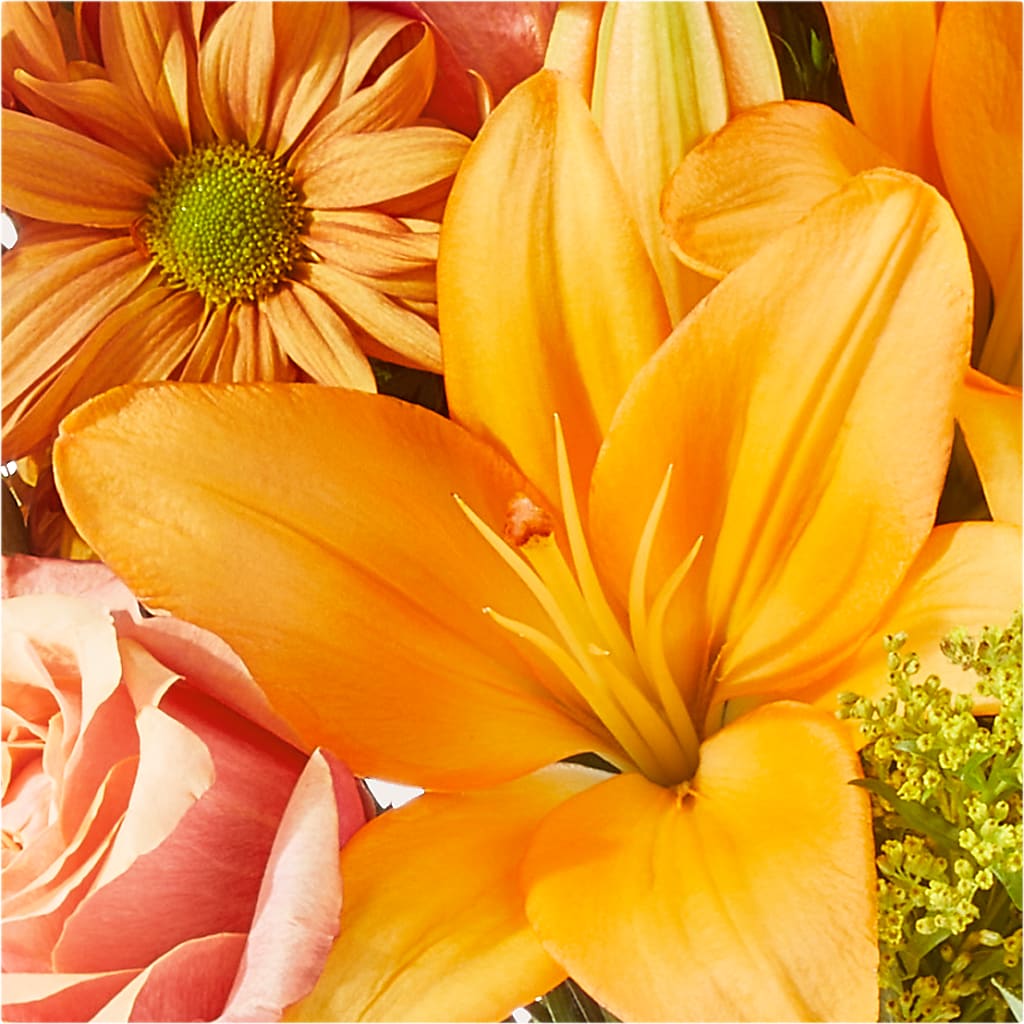 Harvest Hayride Bouquet –  Petite Flower Shop, San Antonio TX