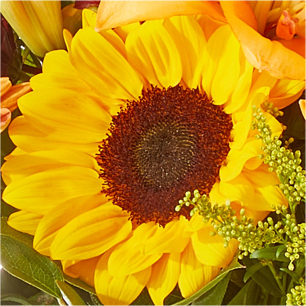 Seasons Change Bouquet –  Petite Flower Shop, San Antonio TX