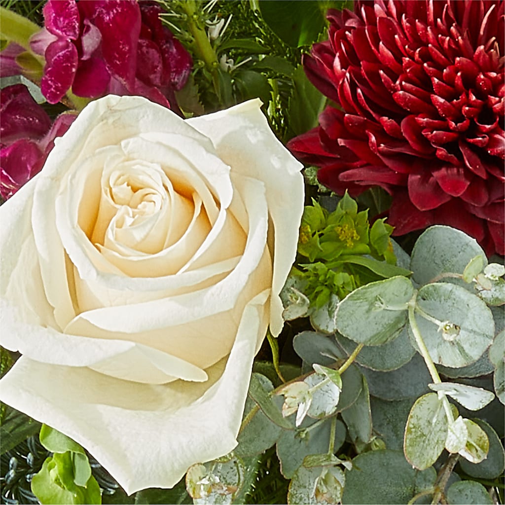 Cranberry Fizz Bouquet –  Petite Flower Shop, San Antonio TX