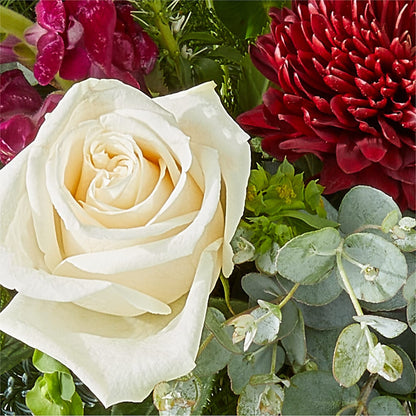 Cranberry Fizz Bouquet –  Petite Flower Shop, San Antonio TX