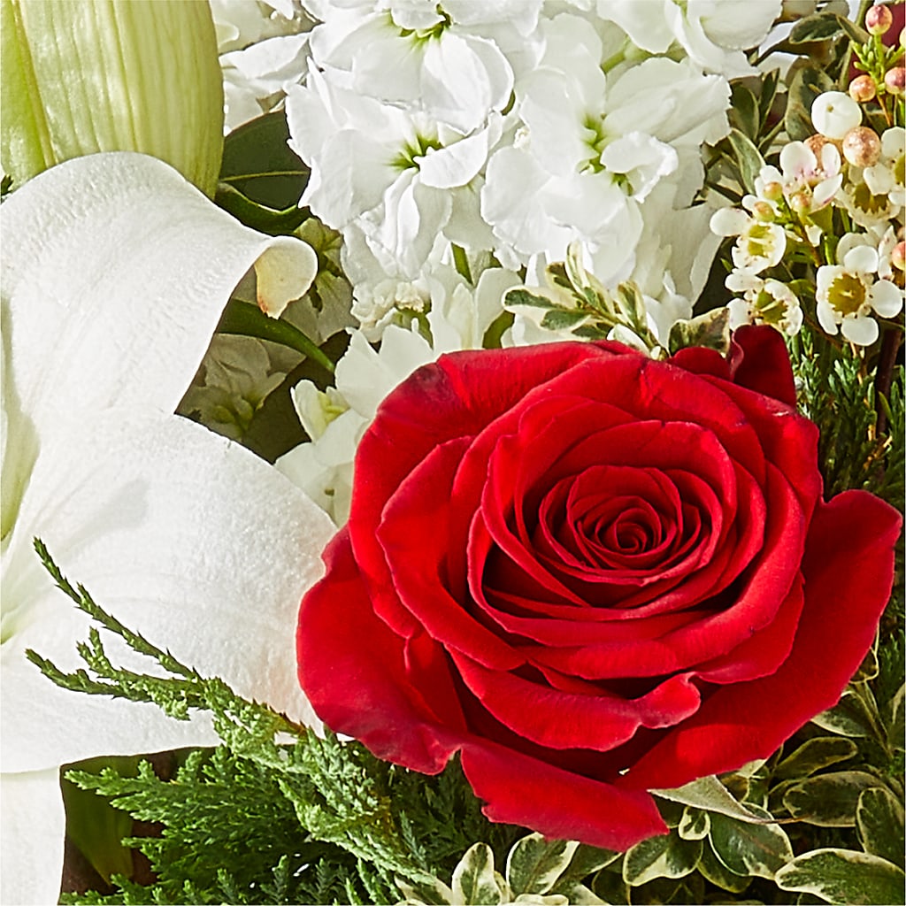 Twinkle Lights Bouquet –  Petite Flower Shop, San Antonio TX