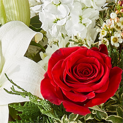 Twinkle Lights Bouquet –  Petite Flower Shop, San Antonio TX