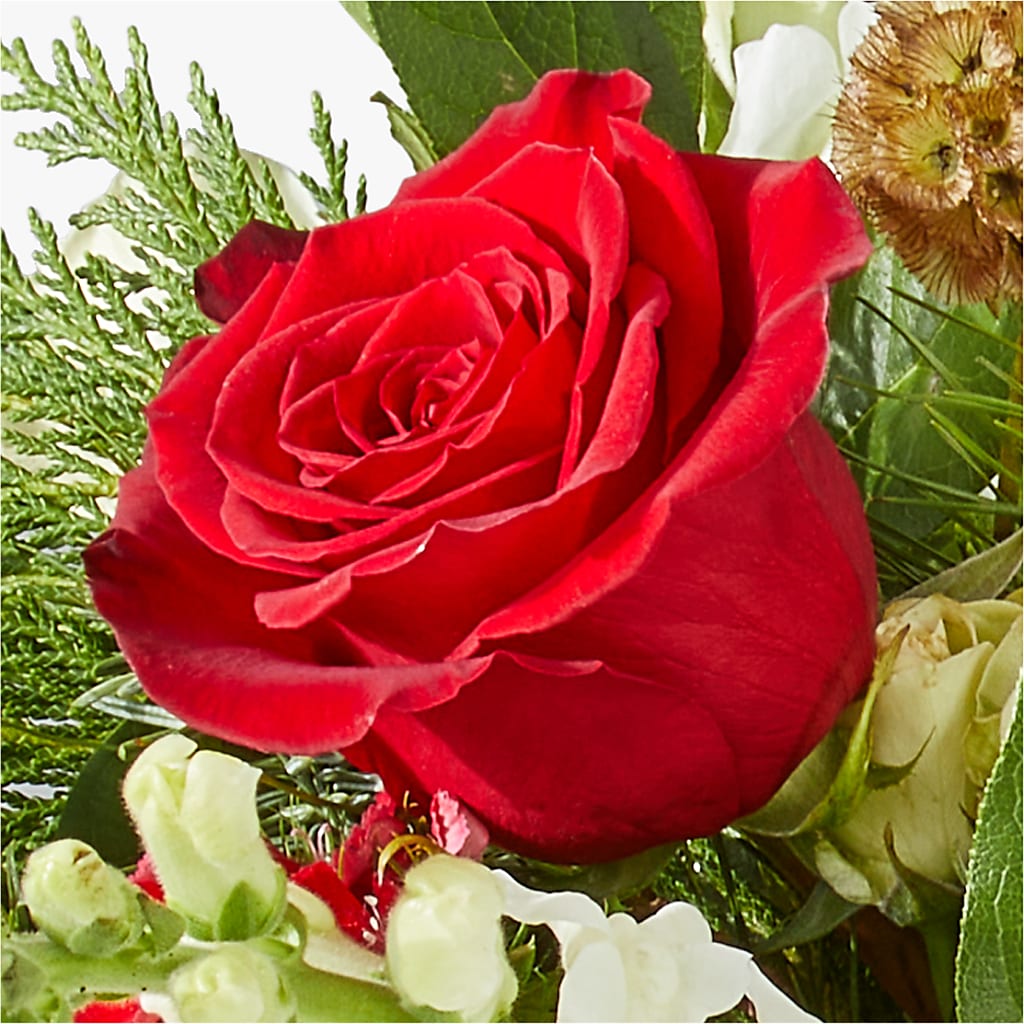 Deck the Halls Bouquet –  Petite Flower Shop, San Antonio TX