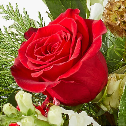 Deck the Halls Bouquet –  Petite Flower Shop, San Antonio TX