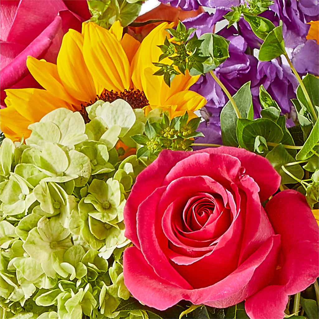 Vibrant Greetings Bouquet –  Petite Flower Shop, San Antonio TX