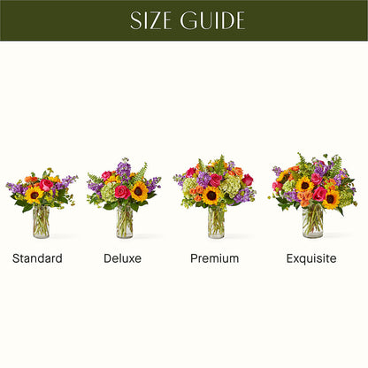 Vibrant Greetings Bouquet –  Petite Flower Shop, San Antonio TX