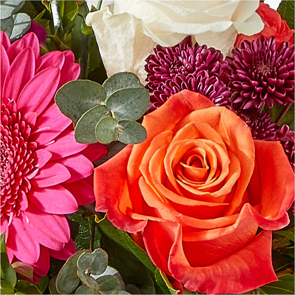 Smell the Roses Bouquet –  Petite Flower Shop, San Antonio TX