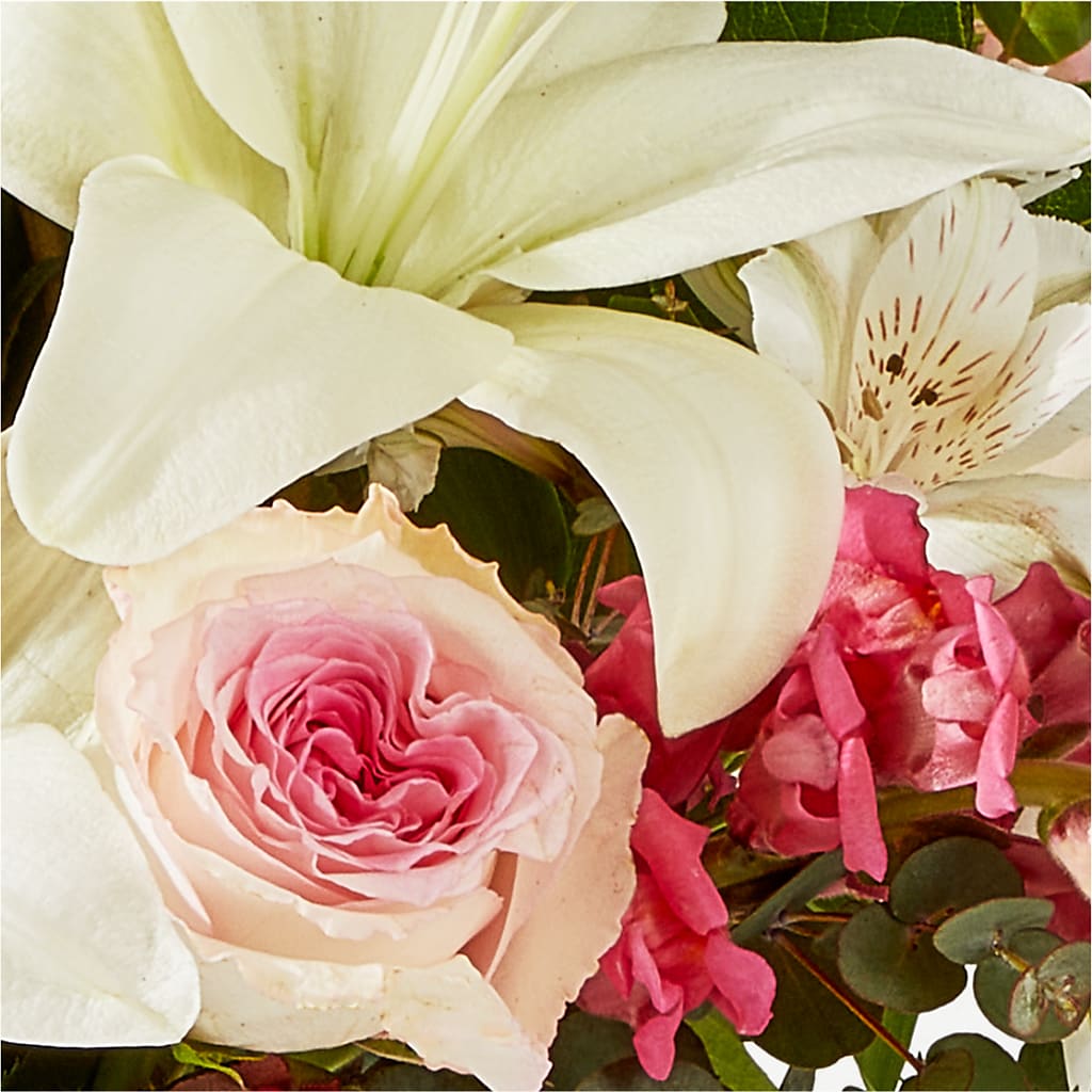 Ballet Slippers Bouquet –  Petite Flower Shop, San Antonio TX