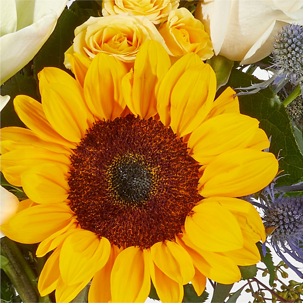 Wonderfully Sunny Bouquet –  Petite Flower Shop, San Antonio TX