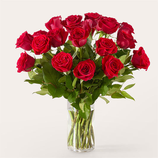 The One Red Rose Bouquet –  Petite Flower Shop, San Antonio TX
