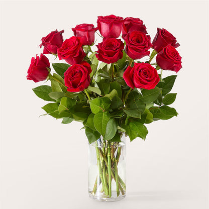 The One Red Rose Bouquet –  Petite Flower Shop, San Antonio TX