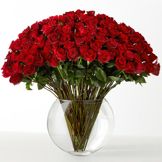 The Idealist –  Petite Flower Shop, San Antonio TX