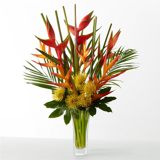 The Drama –  Petite Flower Shop, San Antonio TX